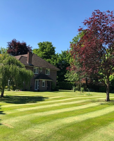 Lawn maintenance